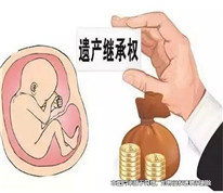 丈夫去世后，留下的胚胎是否有繼承權？